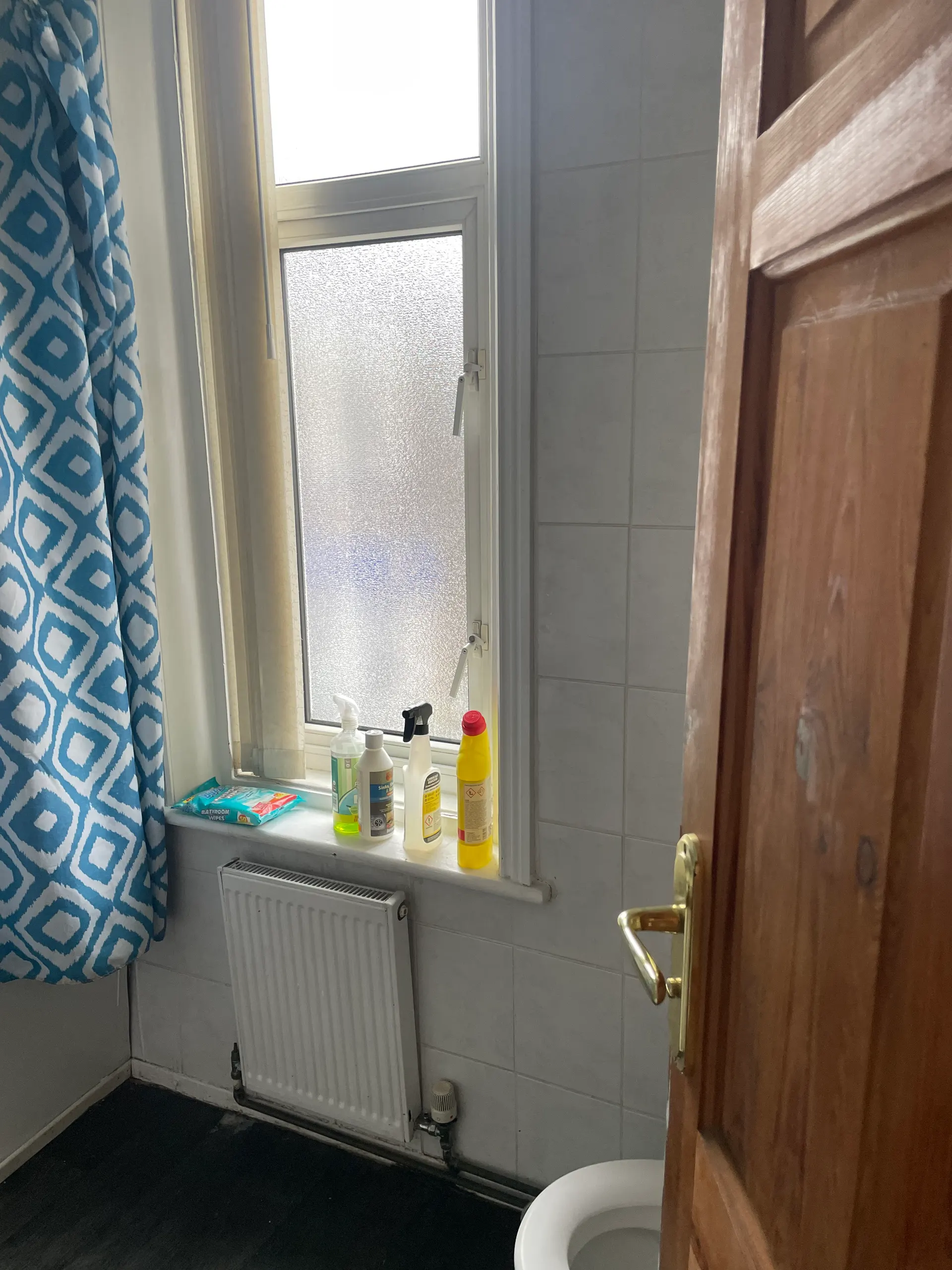Flat in Nelson - Image 10