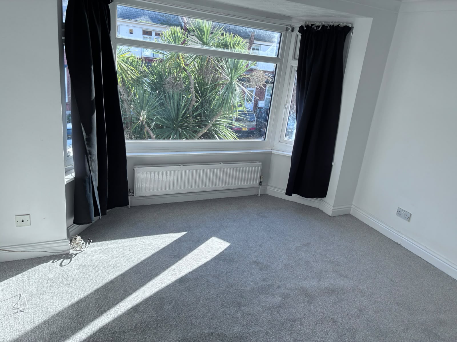 Torbay - Image 13
